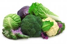 Artrosi, prevenzione con broccoli e cavolfiore